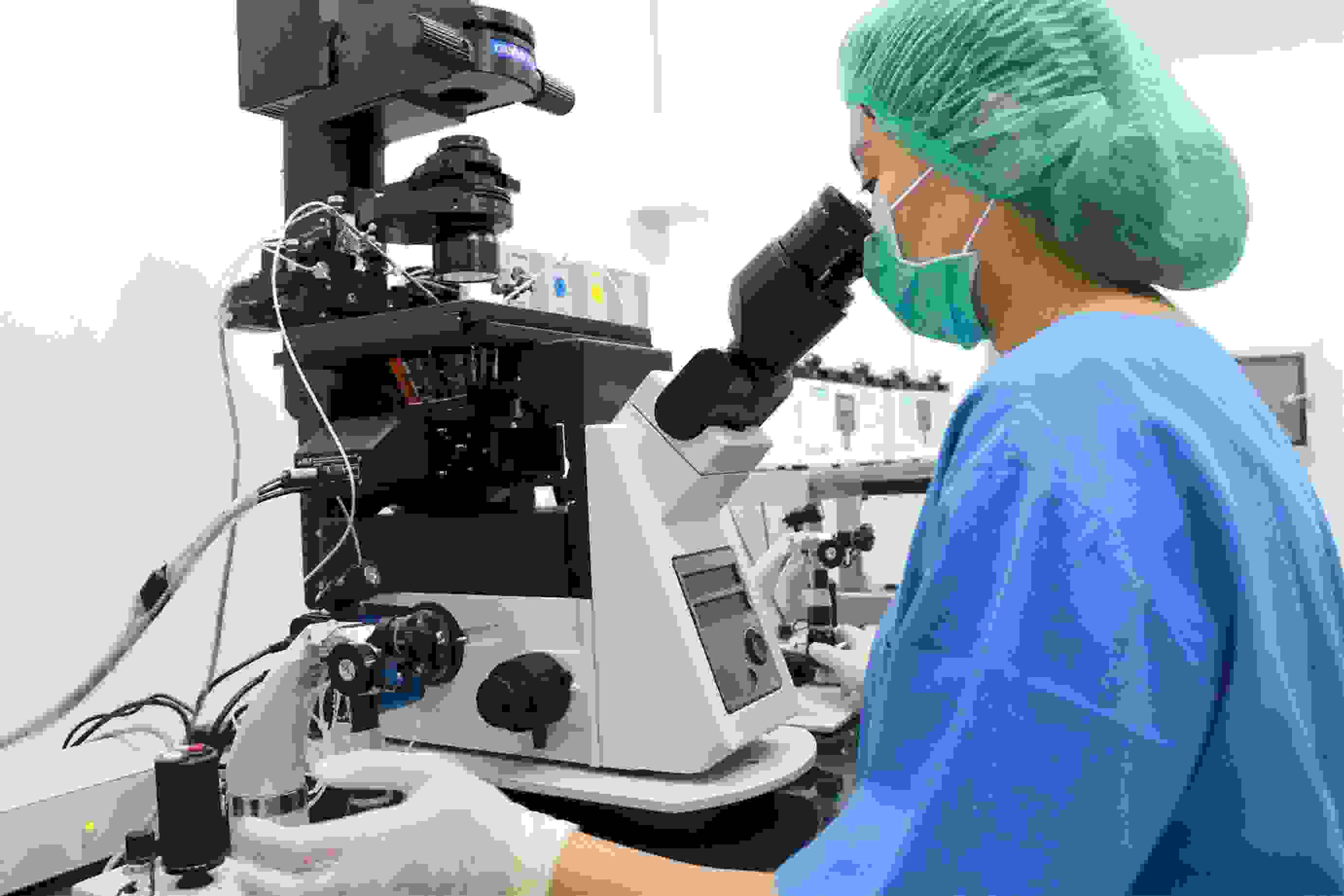 马来西亚试管婴儿医院