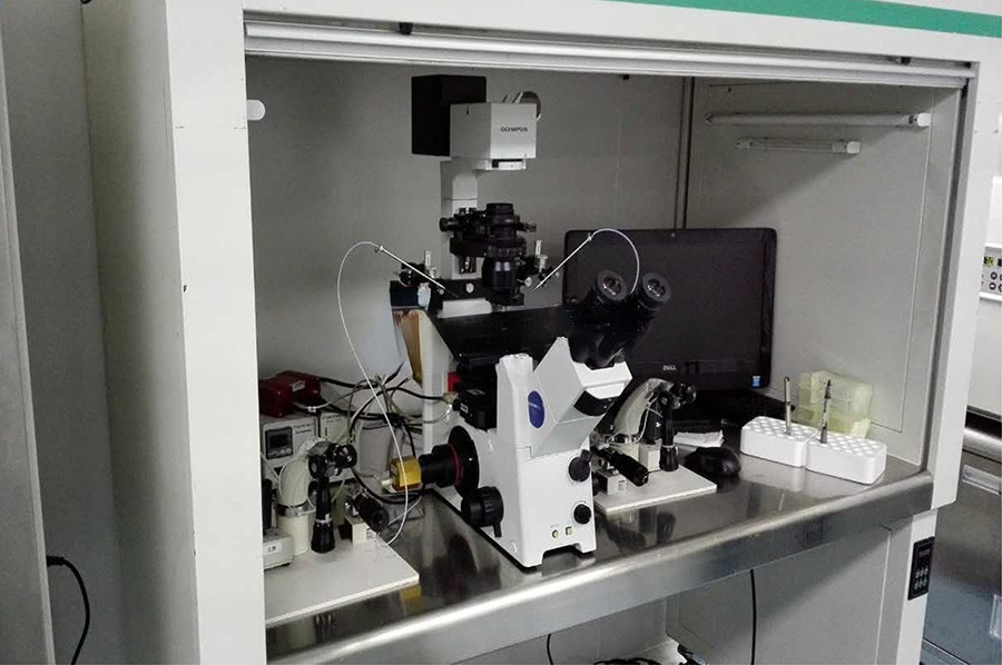 马来西亚代孕-马来西亚代孕机构/马来西亚代孕价格/马来西亚代孕医院/马来西亚借腹生子/马来西亚第三代试管婴儿/马来西亚捐卵代孕/马来西亚代孕生子/马来西亚代