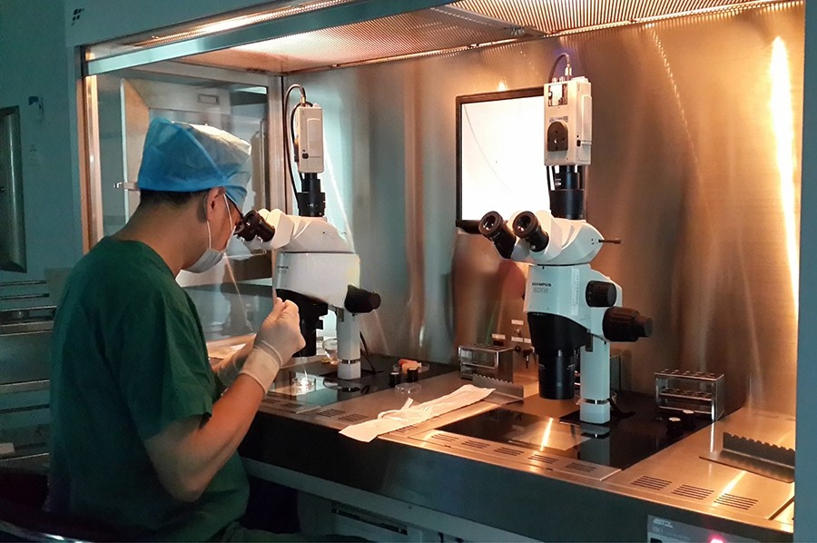 马来西亚代孕-马来西亚代孕机构/马来西亚代孕价格/马来西亚代孕医院/马来西亚借腹生子/马来西亚第三代试管婴儿/马来西亚捐卵代孕/马来西亚代孕生子/马来西亚代